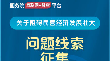 www.com操美女国务院“互联网+督查”平台公开征集阻碍民营经济发展壮大问题线索